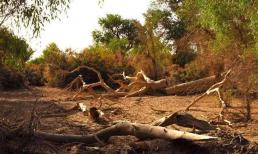 Trong tương lai, nhân loại có thể phải đối mặt với “ba đại họa”? Tốt nhất nên chú ý, chắc chắn không phải nói nhảm đâu