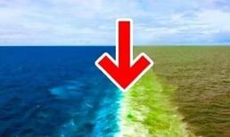 Tại sao bốn đại dương nối liền với nhau nhưng có độ cao mực nước biển khác nhau? Tôi đã học được rất nhiều sau khi đọc nó