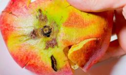 Vỏ lựu là một báu vật! Ăn xong bạn đừng vứt vỏ đi, giữ lại sẽ giải quyết rất nhiều vấn đề trong nhà, tiết kiệm cả đống tiền