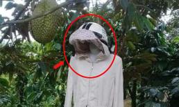 Cách chống trộm sầu riêng 'độc lạ' khiến kẻ trộm thoạt nhìn đã 'chạy mất vía'