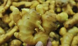 Khi mua gừng, làm sao để phân biệt 'gừng độc'? Lão nông trồng rau dạy bạn 3 mẹo, nhớ đừng mua nhầm