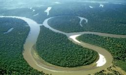  Sông Amazon đáng sợ đến mức nào? Tại sao không ai dám bơi chứ đừng nói đến việc làm cầu?