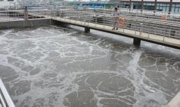 Cuối cùng thì phân thải ra hàng ngày trong thành phố được xử lý như thế nào?