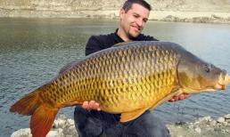 Tại sao người phương Tây không ăn cá nước ngọt?