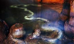 'Rồng thật' xuất hiện trên thế giới dài gần 13 mét, các chuyên gia cho rằng nó đã tồn tại hàng trăm triệu năm