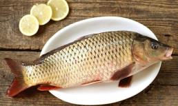 Ăn cá bao nhiêu lần một tuần là tốt nhất? 