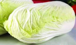 Khi mua cải thảo nên chọn 'vàng' hay 'xanh'! Lão nông trồng rau: Chênh lệch rất lớn, đừng mua nhầm nữa 
