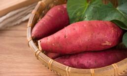 Khoai lang kị với thực phẩm nào? Hãy nhớ những điều cấm kỵ khi ăn khoai lang