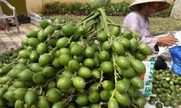 Tại sao giá quả cau năm nay lại tăng cao kỷ lục? 