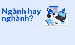 'Nghành' hay 'Ngành', từ nào mới đúng chính tả?