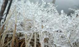 Năm 2024 tháng mấy bắt đầu lạnh?