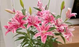 Tứ “hoa xui xẻo” thực sự không thể trồng ở nhà, sa cơ bại sản