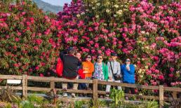 Lời khuyên từ những người từng trải: “Đừng bao giờ đi du lịch cùng 4 loại người này” sau khi nghỉ hưu: Dù mối quan hệ có tốt đến đâu!