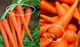 Mua cà rốt nên chọn củ đầu to hay nhỏ, sẫm màu hay nhạt màu? Người trồng nhắc nhở 5 loại cà rốt tuyệt đối không mua 
