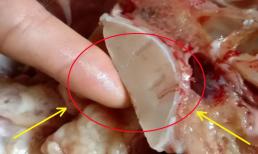 Vốn chỉ là một mảnh xương cá, nhưng sau khi 'chế biến' có thể bán được hàng chục triệu đồng, nhiều người không biết đem bỏ đi