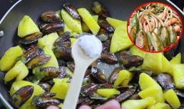 Loài chân dài xấu xí được xem là 'thần dược đàn ông', mua về xào chung với dứa cực lạ miệng, ăn với cơm trắng bao nhiêu cũng hết