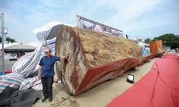 Khúc gỗ siêu quý hiếm ở Việt Nam có giá 10 tỷ, niên đại 5.000 năm tuổi, tỷ phú đô la cũng chưa chắc mua được