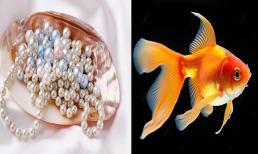 Giải mã giấc mơ: Dấu hiệu tiền bạc sắp đến nếu bạn mơ thấy điều này