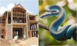 Năm Ất Tỵ 2025, tuổi nào xây nhà tốt nhất và tuổi nào nên tránh xây nhà để không ảnh hưởng đến tài lộc?