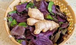 Tía tô và gừng là sự kết hợp hoàn hảo, có rất nhiều lợi ích mà bạn thậm chí không thể mua được bằng tiền