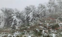 Thời điểm không khí lạnh mạnh nhất của mùa đông năm nay diễn ra khi nào?