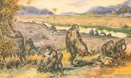 Con người đều do phụ nữ sinh ra, vậy người phụ nữ đầu tiên đến từ đâu trước khi có con người?