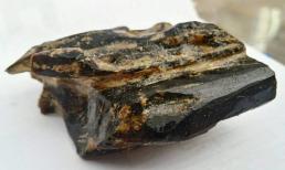 Kỳ Nam là gì? Vì sao Kỳ Nam có giá tới 30 tỷ đồng/kg?