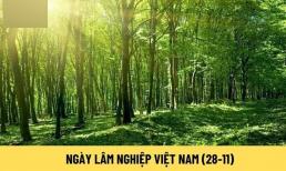 Ngày 28/11 có sự kiện gì, có phải ngày lễ lớn của Việt Nam? Lời chúc nhân ngày 28/11