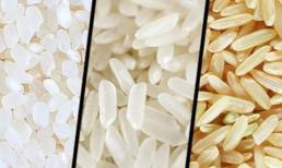 Chọn gạo đúng cách: Gạo hạt dài hay hạt tròn, đâu là sự khác biệt?