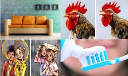 10 sự thật kỳ lạ thú vị tưởng chừng khó tin nhưng đã được khoa học chứng minh