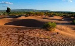 Cát sa mạc nhiều, vì sao không dùng nó để xây dựng nhà cửa?