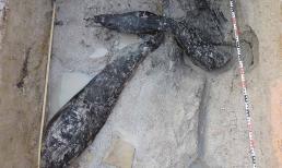 2 khúc gỗ tồn tại cách đây 500.000 năm được phát hiện, hé lộ điều 'không tưởng' về người tiền sử