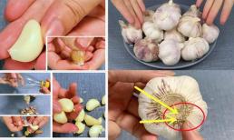 Đuôi tỏi sở hữu một 'cơ quan nhỏ', chỉ cần chạm đúng cách vỏ tỏi sẽ bong sạch mà không tốn chút sức lực