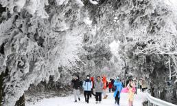 Tỉnh nào ở Việt Nam được gọi là Xứ Đông? 