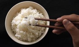 Mỗi ngày nên ăn bao nhiêu bát cơm trắng?