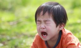 Có ba điểm khác biệt rõ ràng giữa những đứa trẻ nhịn thể khóc và những đứa trẻ hay khóc khi lớn lên