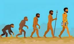 Con người sẽ tiến hóa theo hướng nào trong tương lai? Nó sẽ tiến hóa thành sinh vật gì?