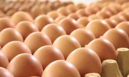 Nếu bạn nhất quyết ăn một quả trứng luộc vào buổi sáng, cơ thể bạn sẽ có những thay đổi gì sau một thời gian?