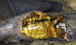 Cây gỗ quý 4.300 năm tuổi dài 11m từng bị sét đánh được gia chủ bán 2 căn nhà để lấy, thương gia trả hơn 870 tỷ cũng không bán