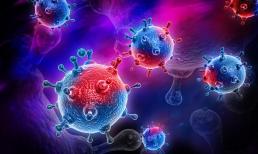 Nếu tiêm tế bào ung thư vào người khỏe mạnh thì người đó có bị ung thư không? cho bạn biết câu trả lời