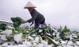 Từ chiều nay miền Bắc đón không khí lạnh tăng cường, nơi nào rét đậm rét hại?