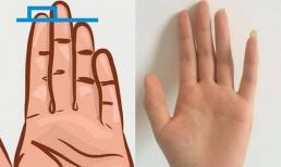 Phụ nữ sở hữu bàn tay có 5 đặc điểm này cho thấy dấu hiệu của mệnh phu nhân, cả đời giàu sang phú quý