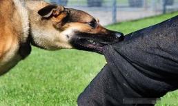  4 giấc mơ 'cảnh báo' kẻ xấu đang cận kề, cẩn thật kẻo gặp tai ương trong thời gian tới