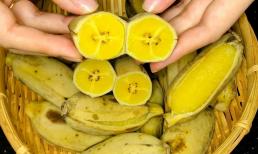 Chuối sáp luộc có công dụng chữa bệnh tuyệt vời: Ngừa ung thư, ổn định huyết áp, bạn nhớ ăn nhiều nhé!