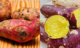 Mẹo bảo quản 'thần thánh' giúp khoai lang càng để lâu càng ngọt, hết lo khoai mọc mầm thối hỏng 