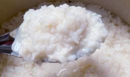 Cách làm và nuôi cơm mẻ đơn giản tại nhà, mẻ giữ được rất lâu và không bị mốc, hợp cho mùa lạnh