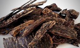 Việt Nam có một loại 'gỗ trời' người không biết đem 'nhóm củi', người biết đem bán giá hơn 2 tỷ/kg