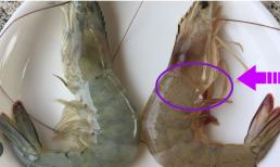 'Tuyệt chiêu' phân biệt tôm nuôi và tôm tự nhiên từ chuyên gia chỉ với một điểm cực kỳ đơn giản, ai cũng có thể nhận biết