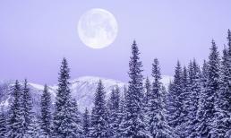 Vì sao Đông chí 2024 đặc biệt nhất trong nhiều năm trở lại đây, ngày này cần kiêng kỵ gì?