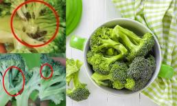 Cách làm sạch súp lơ đầy sâu bọ hiệu quả 